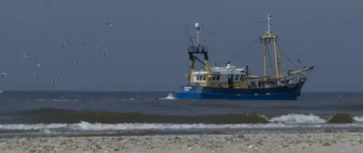 بعد-القرار-الأممي.-أسطول-الصيد-الروسي-يتهيأ-للعمل-في-مياه-الصحراء-المغربية