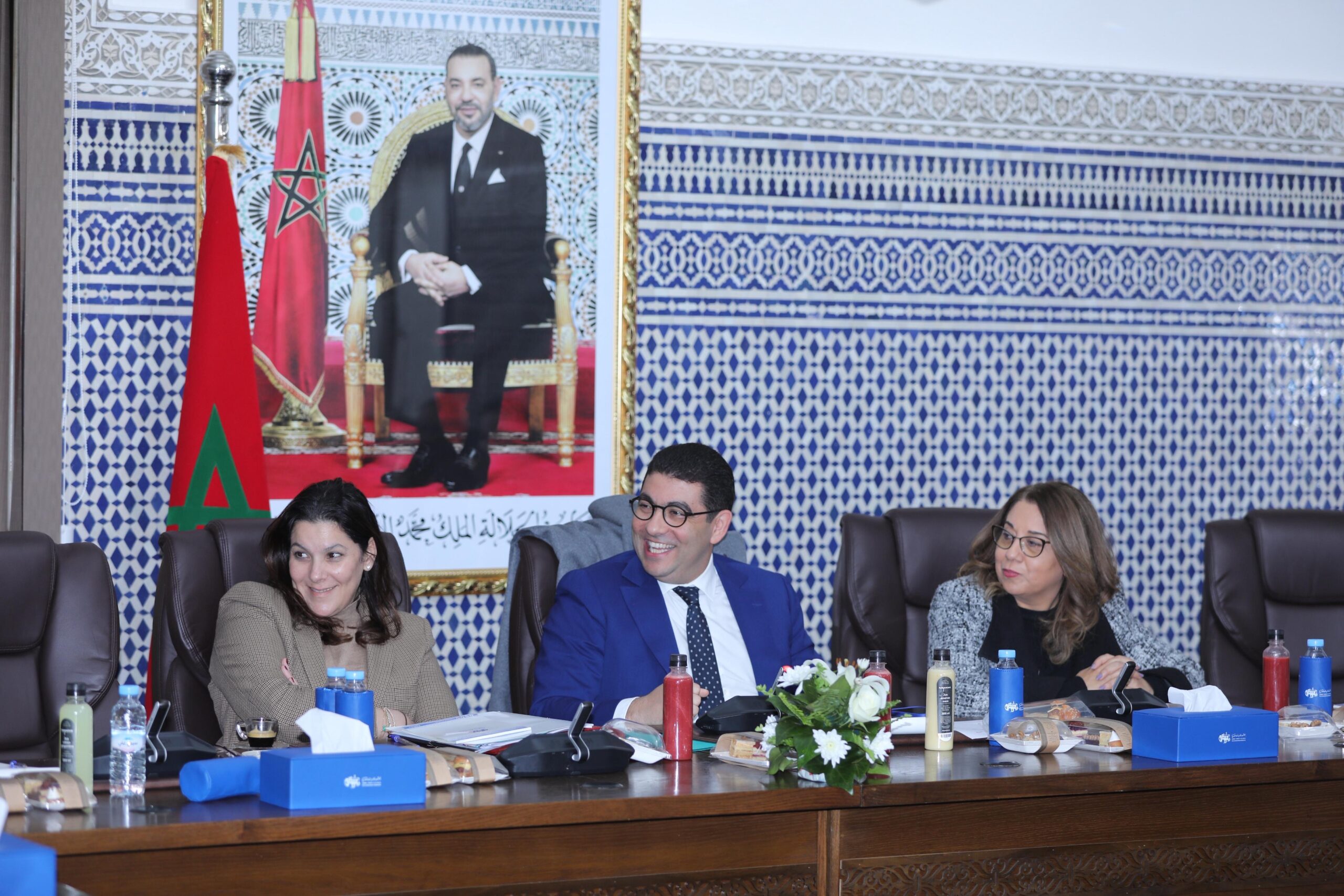 البام:-نقدر-تشريع-قانون-مجلس-الصحافة-ولجوء-المعارضة-للدستورية-راق