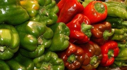 صادرات-الفلفل-المغربي-تكتسح-السوق-الألمانية-وتحقق-عائدات-مالية-ضخمة