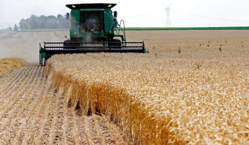 المغرب-يستكمل-استيراد-61-ألف-طن-من-القمح-الأمريكي