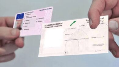 إسبانيا-تنفي-منح-مليون-مغربي-رخص-قيادة-دون-امتحان