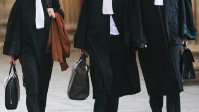 وقفة-وطنية-وتوقيف-الخدمات-لأسبوع-كامل.-المحامون-يعلنون-التصعيد-ضد-وهبي