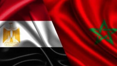 وزير-الرياضة-يتصل-مع-بنظيره-المصري-لتهدئة-أجواء-التوتر-بين-الجماهير