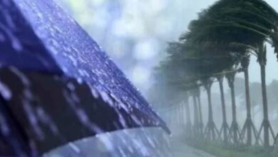 أمطار-بالريف-والمنطقة-الشرقية-ورياح-قوية-بعدة-مناطق