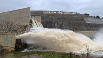 ارتفاع-ملء-السدود-إلى-49%-بعد-الأمطار-الغزيرة-في-المغرب