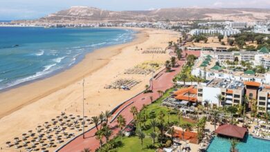 أكادير-تحتضن-الدورة-الثالثة-لأيام-الأنكولوجيا-النسائية-الثديية-بمشاركة-خبراء-وطنيين-ودوليين