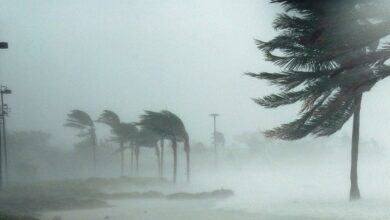 نشرة-إنذارية-تحذر-من-رياح-عاتية-تضرب-الناظور-والدريوش-ابتداء-من-غد-الثلاثاء