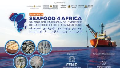 الداخلة.-تنظيم-معرض-ومنتدى-seafood4africa-2026