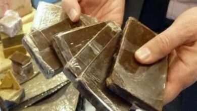 إحباط-محاولة-تهريب-167-كيلوغرامًا-من-الحشيش-بمعبر-باب-مليلية