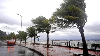 رياح-عاصفية-قوية-وتساقطات-ثلجية-وزخات-رعدية-وطقس-بارد-من-الإثنين-إلى-الأربعاء-بعدد-من-مناطق-المملكة