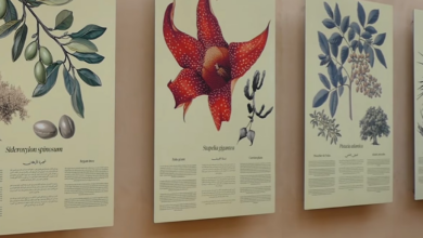 مراكش.-افتتاح-معرض-“إيف-سان-لوران-على-خشبة-المسرح”