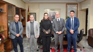 السيدة-وزيرة-التضامن-والإدماج-الاجتماعي-والأسرة-تستقبل-رئيس-قطب-البرمجة-بمجلس-أوروبا