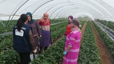 التقلبات-الجوية-تعطل-سفر-العاملات-المغربيات-الموسميات-لإسبانيا