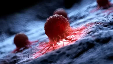 الولايات-المتحدة.-علماء-يطورون-“فقاعات-روبوتية”-تستهدف-الأورام-وتنفجر-لإطلاق-العلاج