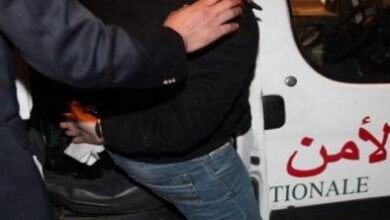 توقيف-شخصين-للاشتباه-في-النصب-على-الراغبين-في-الهجرة