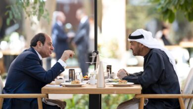 الرئيس-الإماراتي-ونظيره-المصري-يبحثان-العلاقات-الثنائية-والتطورات-في-المنطقة
