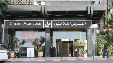 القرض-الفلاحي-للمغرب-يطلق-منظومة-دعم-لفائدة-فلاحي-وساكنة-المناطق-المتضررة-من-التقلبات-الجوية