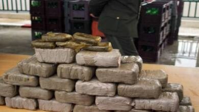 محاكمة-مثيرة-في-فرنسا:-متهم-بقيادة-شبكات-كبرى-لاستيراد-القنب-من-المغرب-يواجه-تسع-سنوات-سجنا