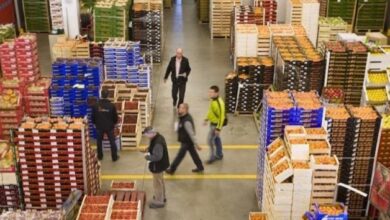 الأمطار-في-المغرب-وجنوب-إسبانيا-تربك-إمدادات-الخضر-والفواكه-ببلجيكا-وهولندا