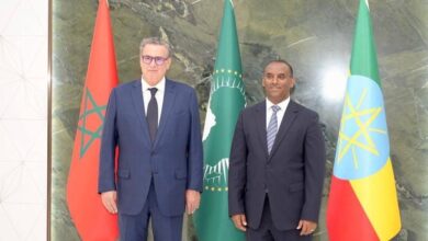 أديس-أبابا.السيد-أخنوش-يشارك-في-الدورة-الثانية-لقمة-إفريقيا–إيطاليا