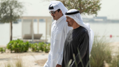 الرئيس-الإماراتي-وأمير-قطر-يبحثان-العلاقات-الثنائية-والتطورات-الإقليمية
