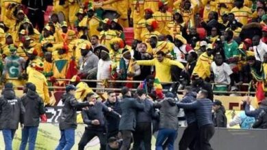 إدانة-18-مشجعا-سنغاليا-بالحبس-بسبب-شغب-نهائي-الكان