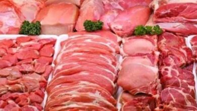 مزور:-عودة-أسعار-اللحوم-إلى-70-درهما-غير-واقعية-في-الظرفية-الحالية