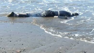 مآسي-“الهجرة-”-تتواصل.-سواحل-الدريوش-تلفظ-جثة-جزائري-واستنفار-أمني-بشاطئ-“الحرش”