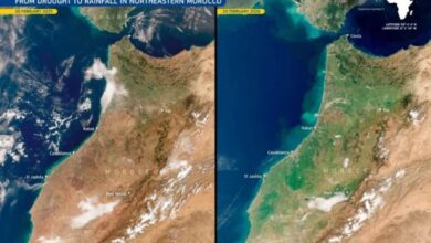 أمطار-2026-تُعيد-الحياة-لشمال-شرق-المغرب-وصور-الأقمار-توثق-التحول-الأخضر