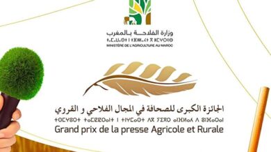 إطلاق-النسخة-العاشرة-للجائزة-الوطنية-الكبرى-للصحافة-في-المجال-الفلاحي-والقروي