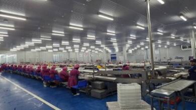 شركة-إسبانية-تفتتح-أكبر-وحدة-صناعية-لتحويل-التونة-في-المغرب