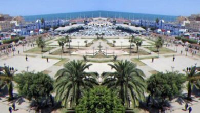 محمد-بوتخريط:-تجريف-وخنق-الناظور-لمصلحة-من؟