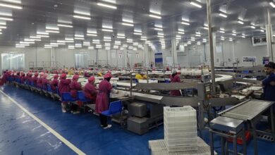 باستثمار-6-ملايين-يورو.شركة-إسبانية-تطلق-أكبر-مصنع-لتعليب-التونة-في-المغرب