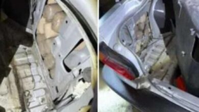 توقيف-مغربي-مقيم-ببلجيكا-بعد-محاولته-تهريب-34-كلغ-من-الحشيش