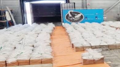 19-مداهمة-و11-موقوفا.-تفكيك-شبكة-إجرامية-بعد-ضبط-شحنة-ضخمة-من-الكوكايين-في-روتردام