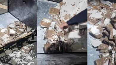 حجز-طن-و140-كلغ-من-الشيرا-داخل-شاحنتين-للنقل-الدولي