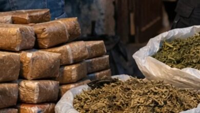 توقيف-أكبر-مروج-للمخدرات-في-بني-سيدال-الجبل-وحجز-كمية-ضخمة-من-الحشيش-والكيف