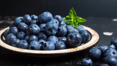 لماذا-ينصح-خبراء-التغذية-بتناول-التوت-الأزرق-يوميًا؟