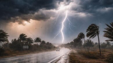 طقس-بارد-بالريف-وباقي-مناطق-المملكة-اليوم-السبت