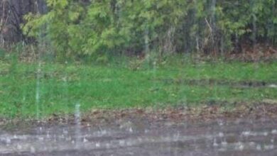 تساقطات-متفاوتة-بالمغرب-خلال-24-ساعة-والناظور-ضمن-المناطق-ذات-الأمطار-الضعيفة