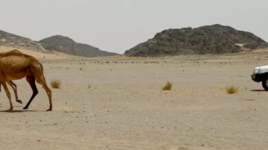 واشنطن-تعلن-مراجعة-استراتيجية-لبعثة-“مينورسو”-في-الصحراء-المغربية-قبل-اجتماع-مجلس-الأمن