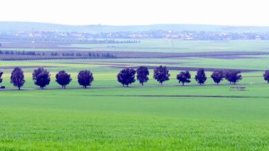 حكومة-سانشيز:-الشراكة-مع-المغرب-ركيزة-للأمن-الغذائي-والتعاون-التقني