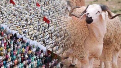 حسابات-فلكية-ترجح-حلول-عيد-الأضحى-بالمغرب-في-هذا-التاريخ