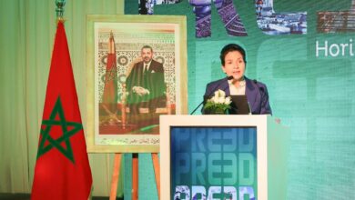 بنعلي-تبرز-دور-الجهات-في-تنزيل-مخططات-النجاعة-الطاقية