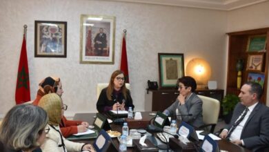 اللجنة-الوطنية-للتكفل-بالنساء-ضحايا-العنف-تستأنف-أشغالها-بعد-تعيين-فتيحة-اشتاتو-رئيسة-لها