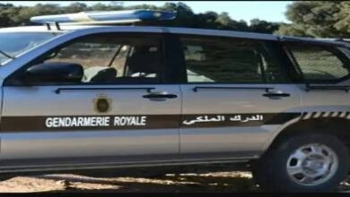 توقيف-خمسيني-يشتغل-فقيها-وحجز-أزيد-من-270-كلغ-من-المخدرات