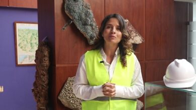 “جيتكس-إفريقيا”.الوزيرة-بنعلي-تعلن-الإطلاق-الرسمي-للسجل-المعدني-الرقمي-للمملكة