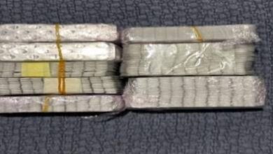 توقيف-سيدتين-بطنجة-وحجز-3000-قرص-مخدر-في-عملية-أمنية-مشتركة