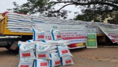 بسبب-توترات-مضيق-هرمز.-البرازيل-تعوض-أسمدة-الخليج-بالمنتجات-المغربية