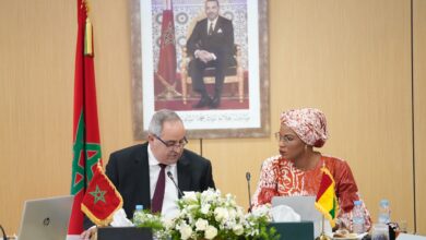 وزير-التعليم-العالي-والبحث-العلمي-والابتكار-يتباحث-مع-وزيرة-التعليم-العالي-والبحث-العلمي-والابتكار-بجمهورية-غينيا-ورئيسة-مجلس-وزراء-المجلس-الإفريقي-والملغاشي-للتعليم-العالي-(cames)